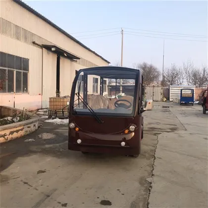 Turist elektrisk bil
